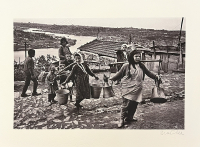 ARA GÜLER