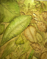 CEYDA HÜSEYİNOĞLU