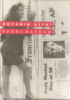 BEDRİ BAYKAM, BOYANIN BEYNİ KİTAP