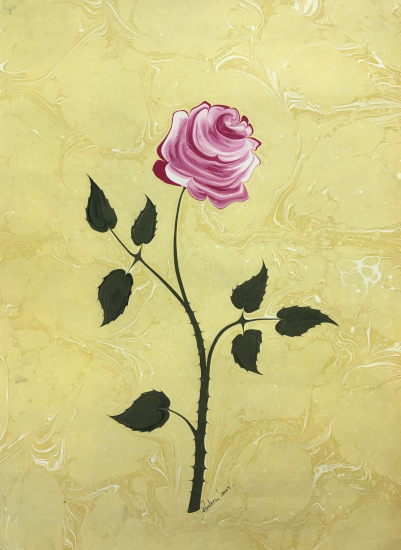 FİRDEVS ÇALKANOĞLU