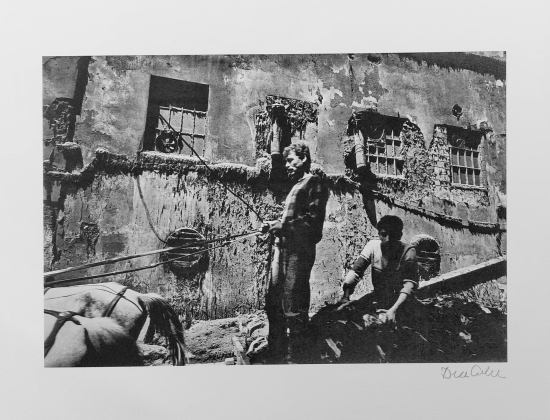 ARA GÜLER (1928 - 2018) 