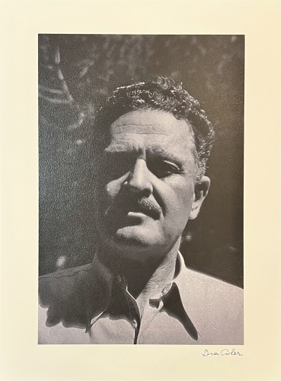 ARA GÜLER (1928 - 2018) 