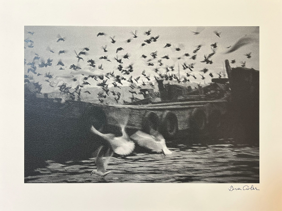 ARA GÜLER (1928 - 2018) 