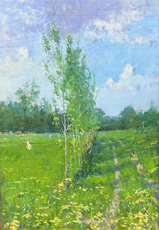 MAMMADOV RAMİL FARAC