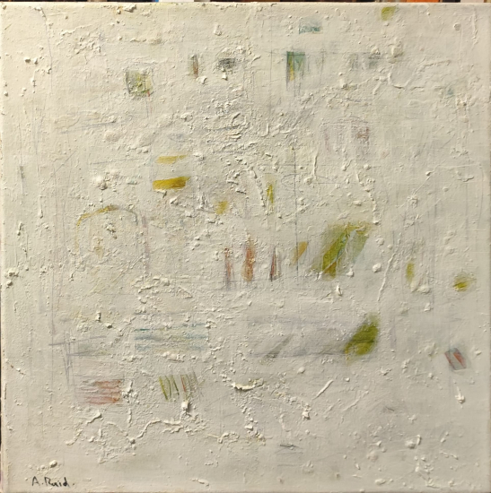 AHMET RAİD TÜRKMEN