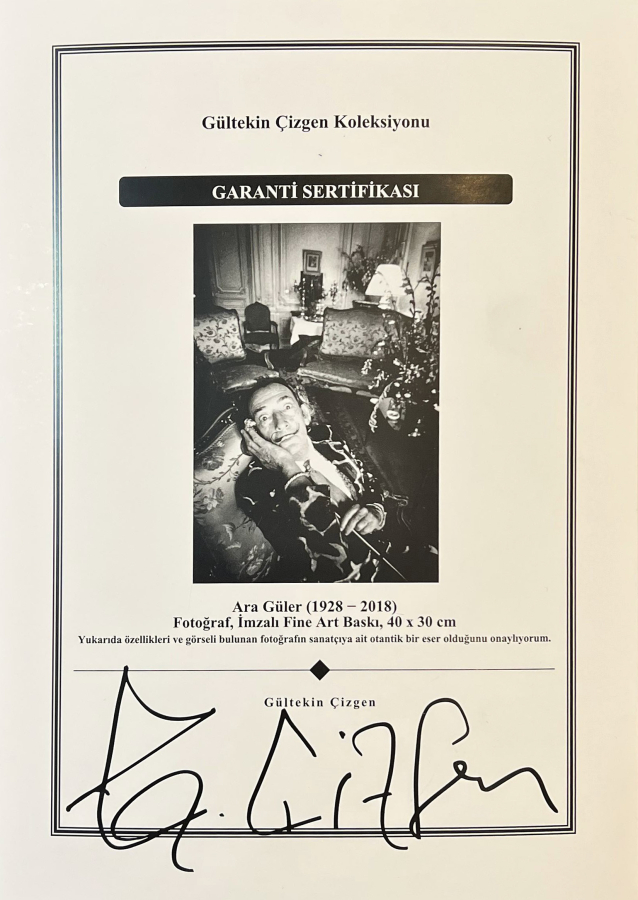 thumbARA GÜLER (1928 - 2018) 