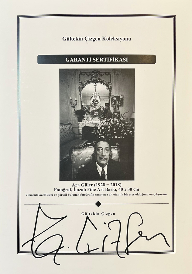 thumbARA GÜLER (1928 - 2018) 