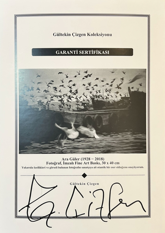 thumbARA GÜLER (1928 - 2018) 