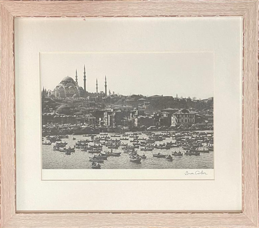 ARA GÜLER