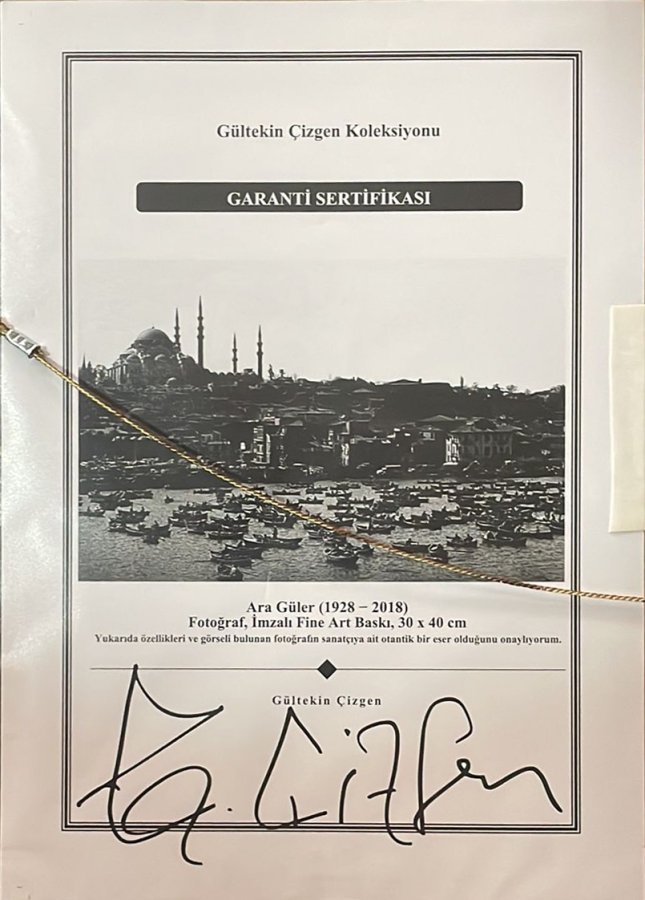 thumbARA GÜLER