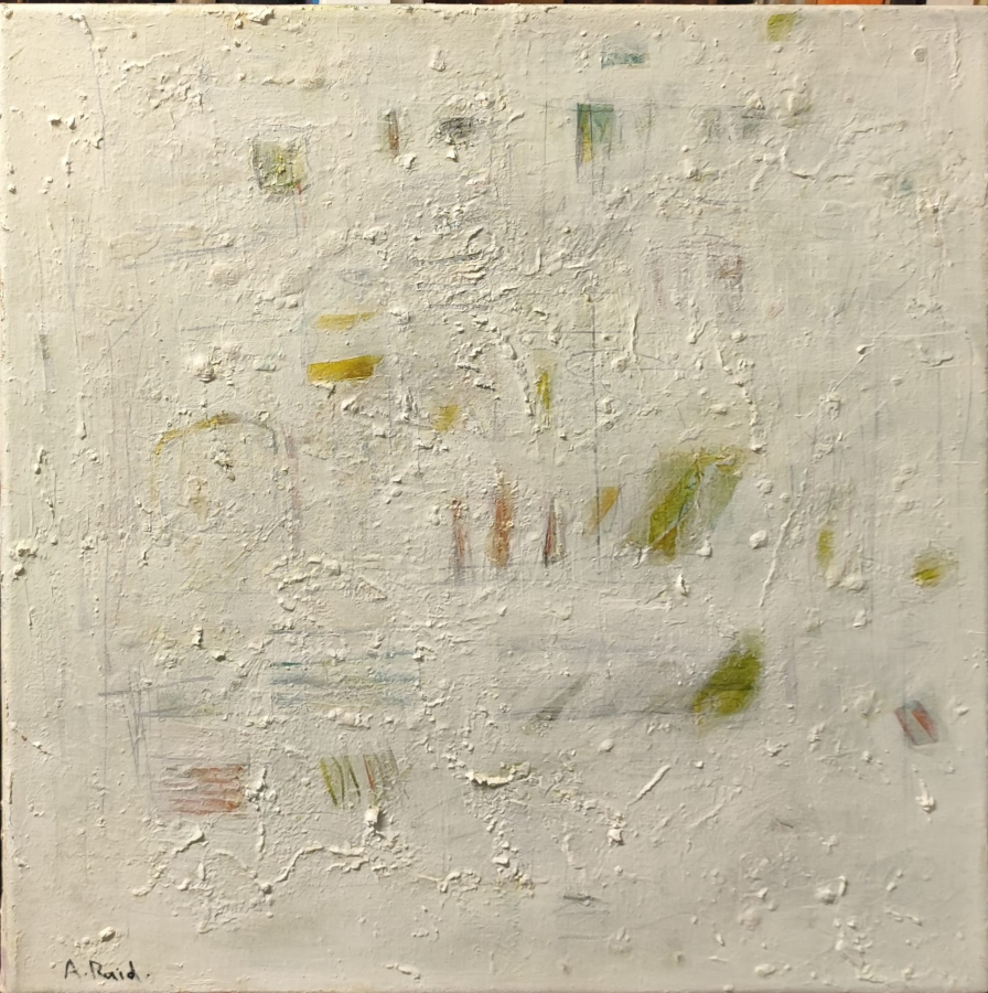 AHMET RAİD TÜRKMEN